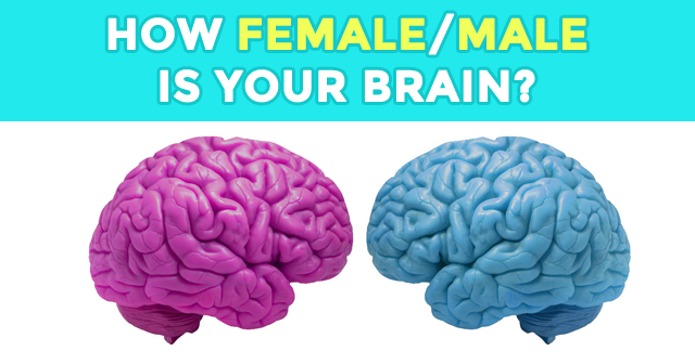 What Sex Is Your Brain Quiz 79